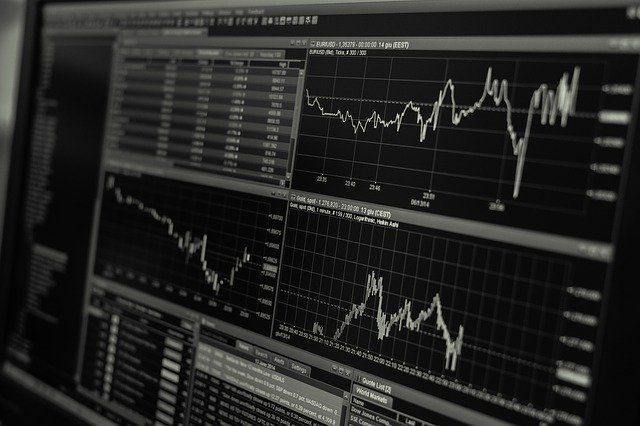 Libros de bolsa